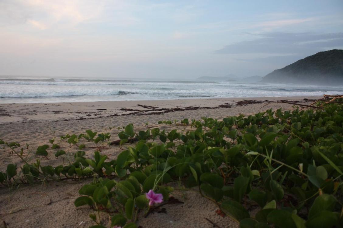 Maloquinha Itamambuca. A Mais Charmosa De Ubatuba. Esterno foto